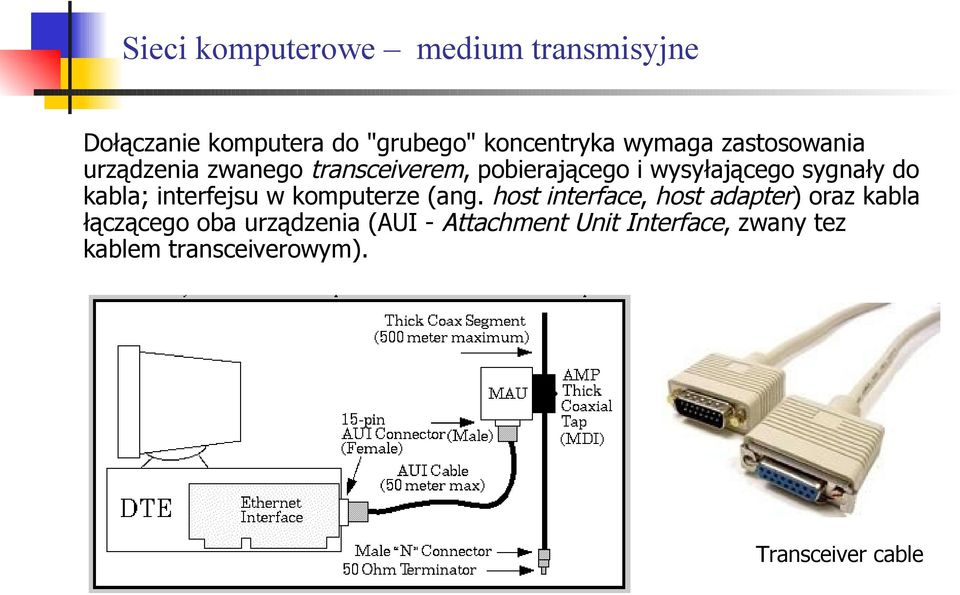 komputerze (ang.