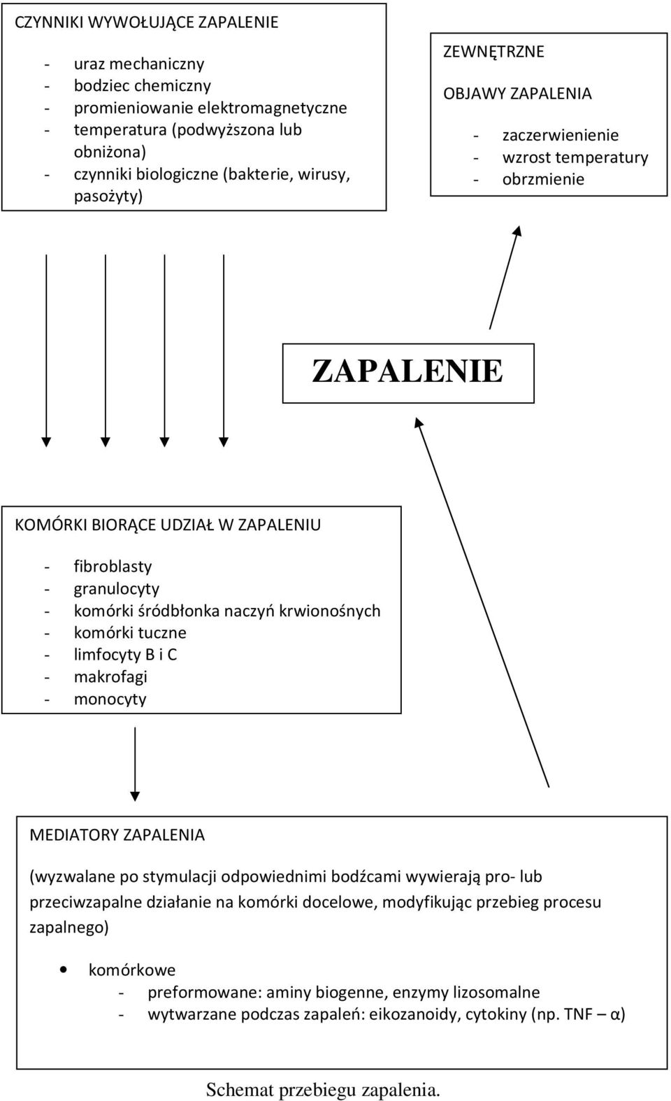 krwionośnych - komórki tuczne - limfocyty B i C - makrofagi - monocyty MEDIATORY ZAPALENIA (wyzwalane po stymulacji odpowiednimi bodźcami wywierają pro- lub przeciwzapalne działanie na komórki