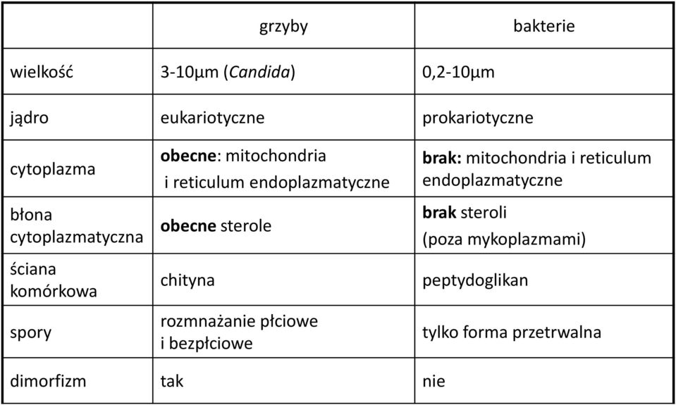 obecne sterole chityna rozmnażanie płciowe i bezpłciowe brak: mitochondria i reticulum