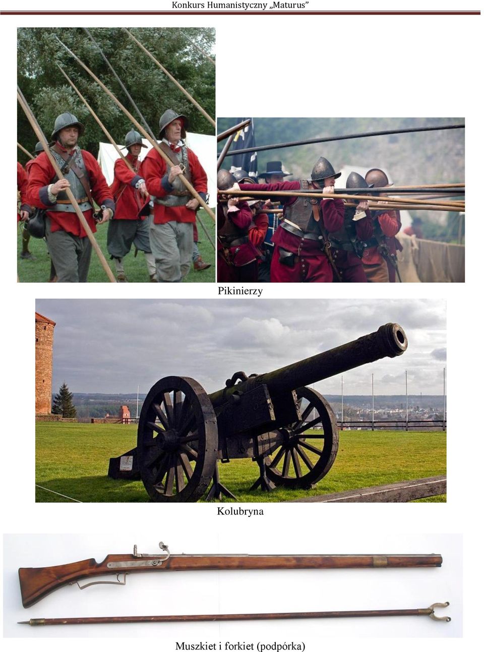 Muszkiet i