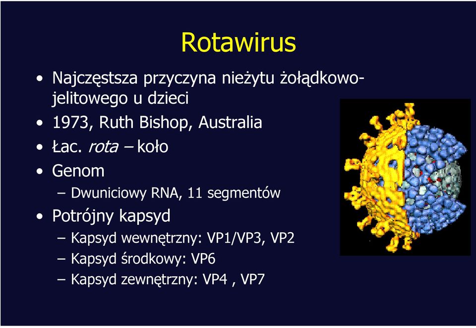rota koło Genom Dwuniciowy RNA, 11 segmentów Potrójny kapsyd