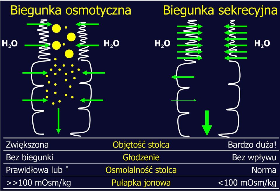 Głodzenie Prawidłowa lub Osmolalność stolca >>100