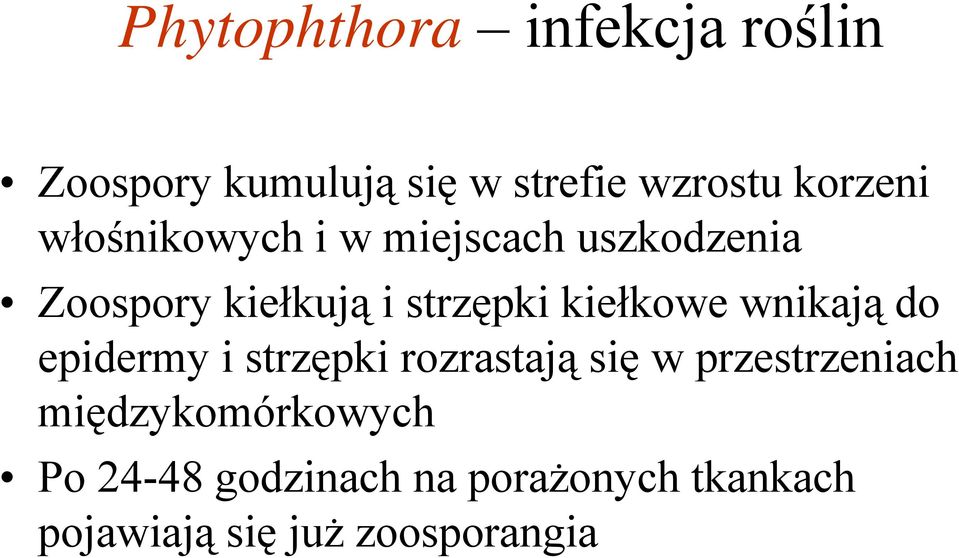 kiełkowe wnikają do epidermy i strzępki rozrastają się w przestrzeniach