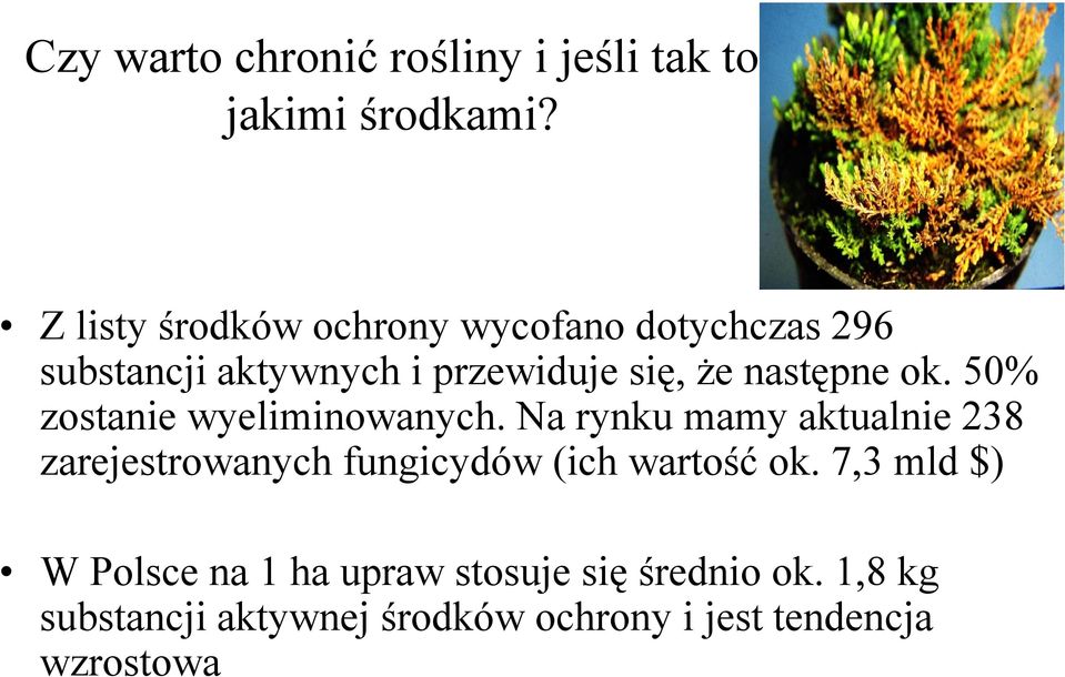 ok. 50% zostanie wyeliminowanych.