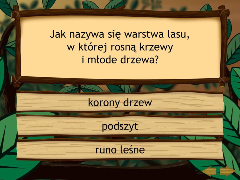 krzewy i młode drzewa?