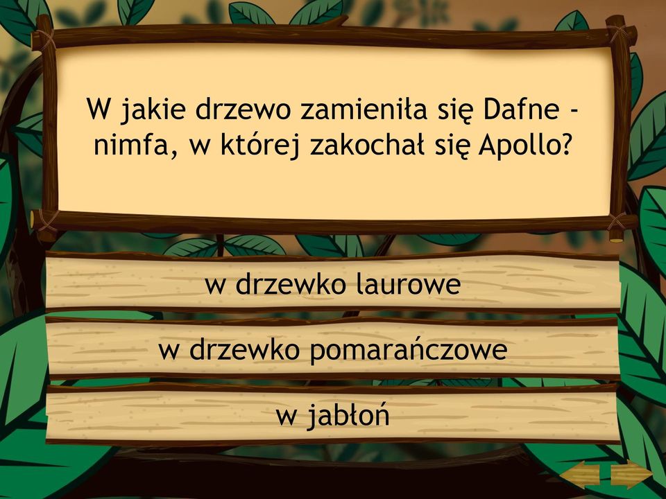 zakochał się Apollo?