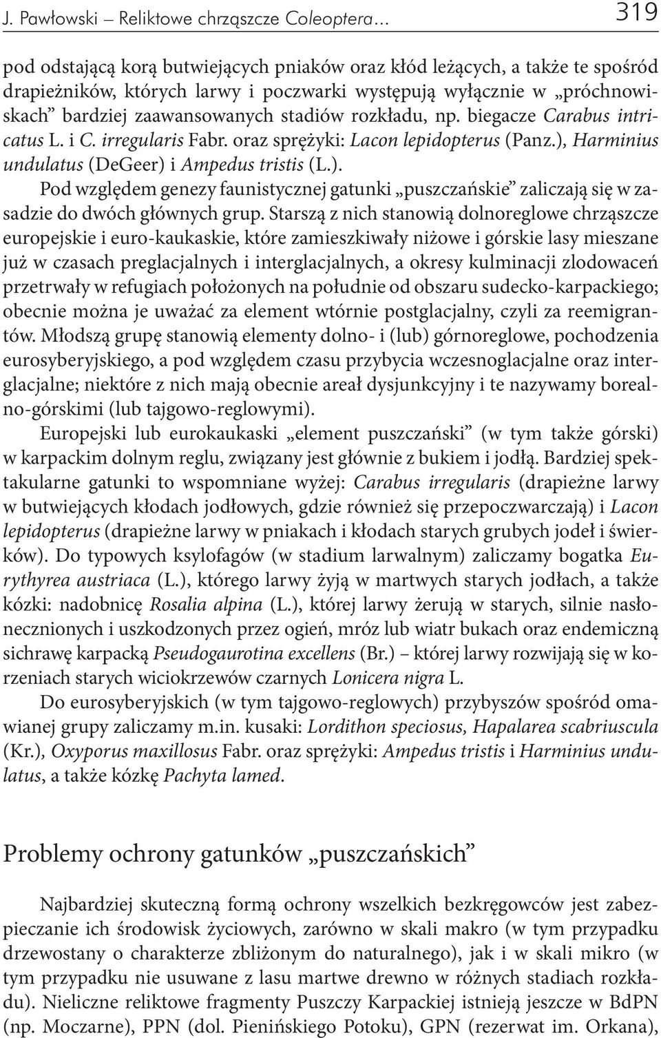 rozkładu, np. biegacze Carabus intricatus L. i C. irregularis Fabr. oraz sprężyki: Lacon lepidopterus (Panz.),