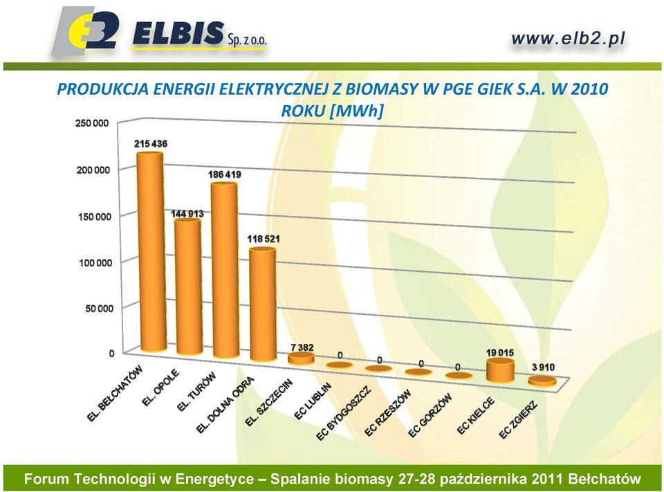 BIOMASY W PGE GIEK