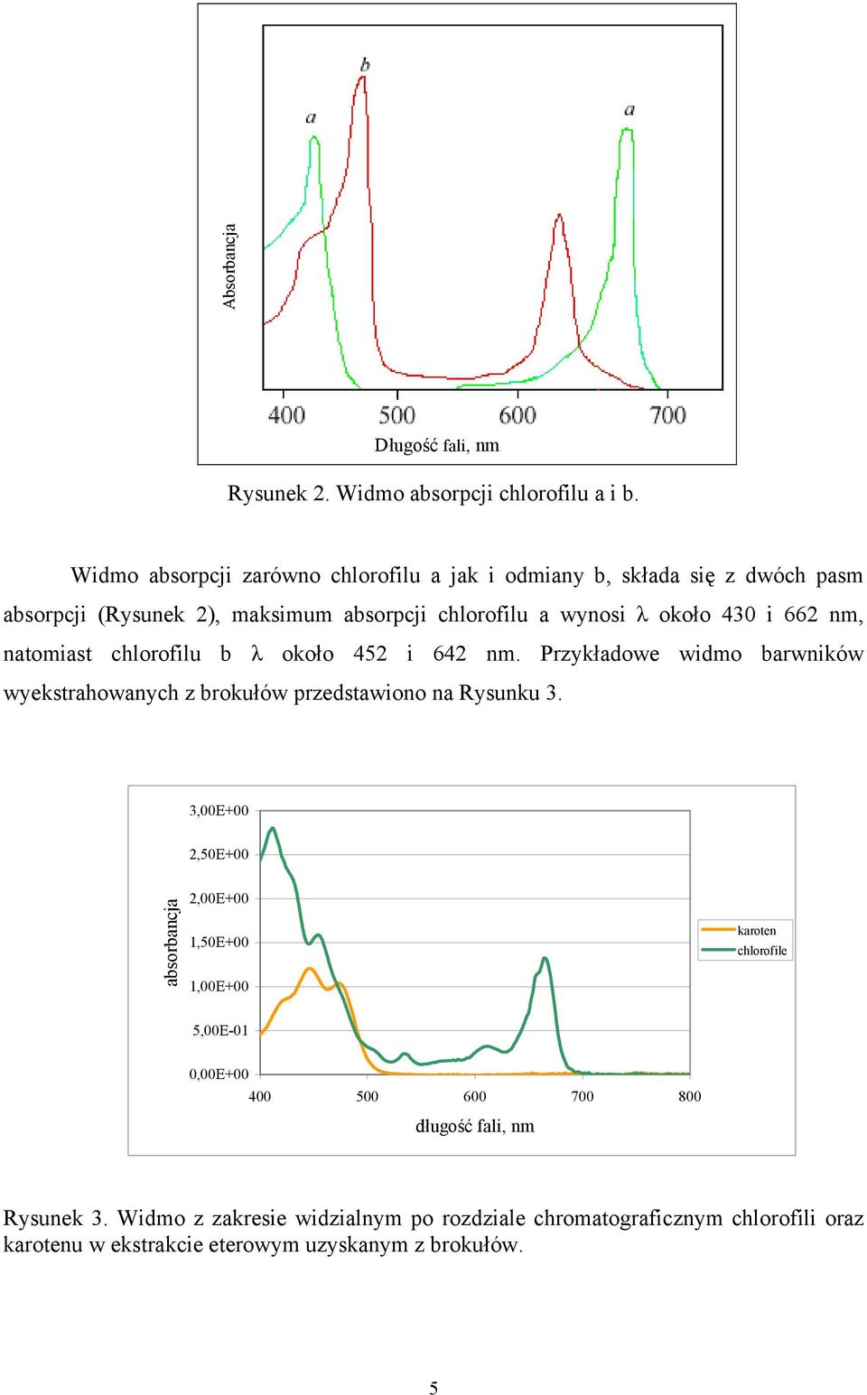 a wynosi λ około 430 i 662 nm, natomiast chlorofilu b λ około 452 i 642 nm. Przykładowe widmo barwników wyekstrahowanych z brokułów przedstawiono na Rysunku 3.