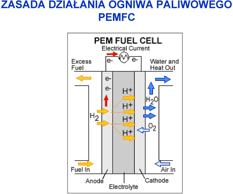 OGNIWA