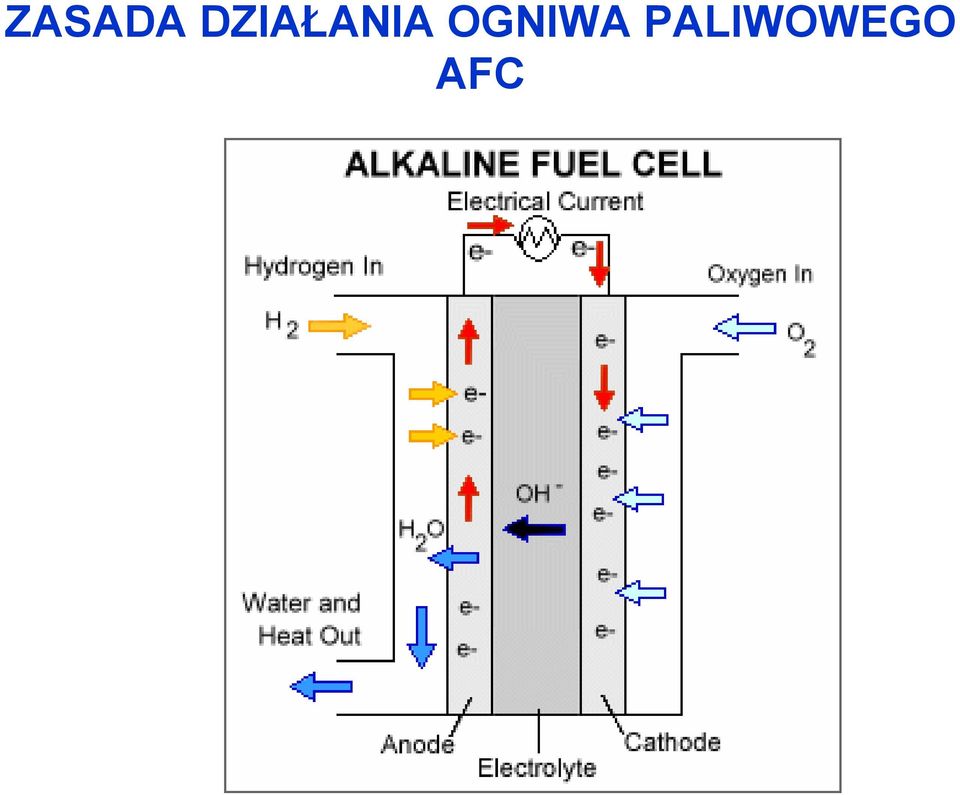 OGNIWA