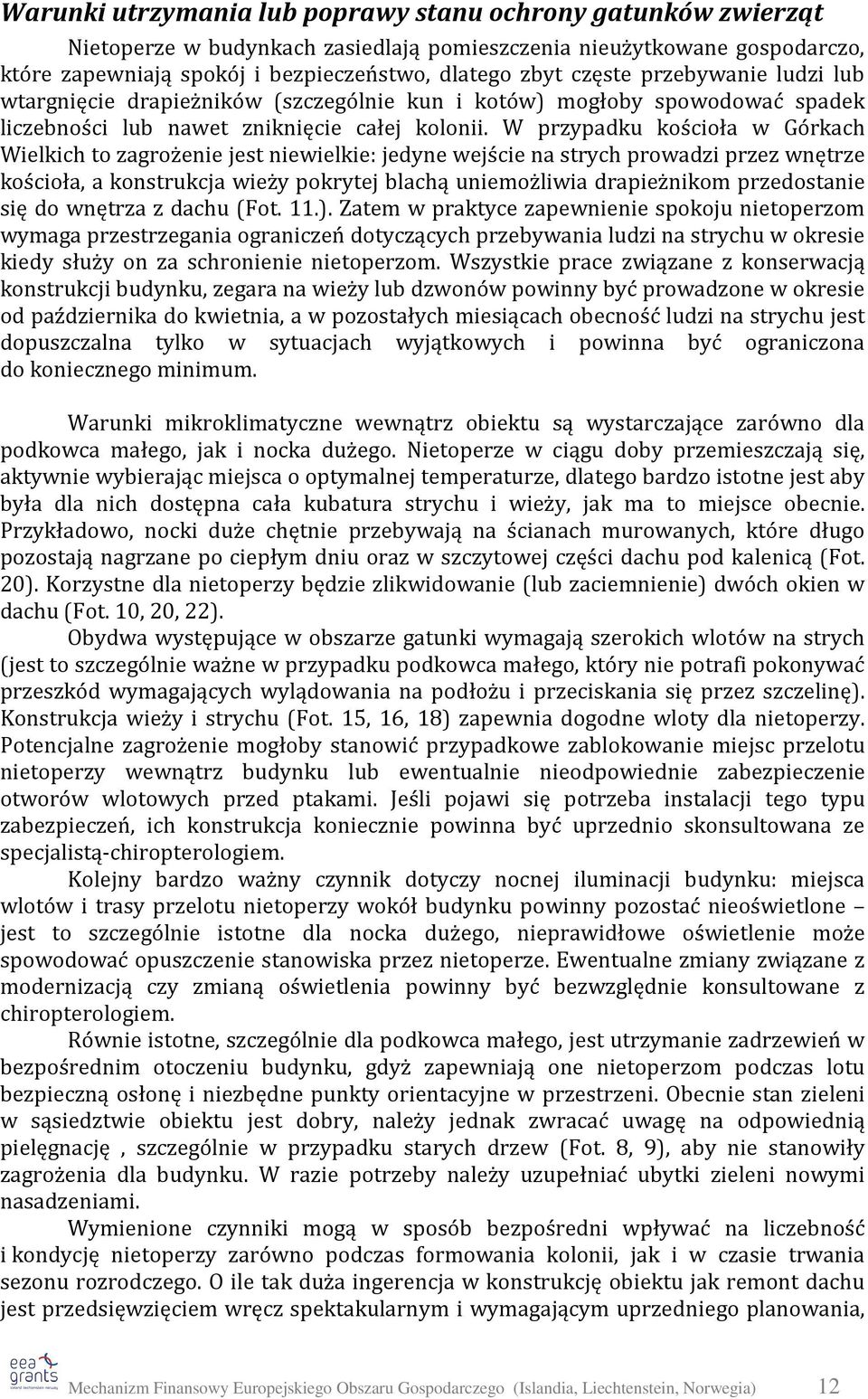 W przypadku kościoła w Górkach Wielkich to zagrożenie jest niewielkie: jedyne wejście na strych prowadzi przez wnętrze kościoła, a konstrukcja wieży pokrytej blachą uniemożliwia drapieżnikom