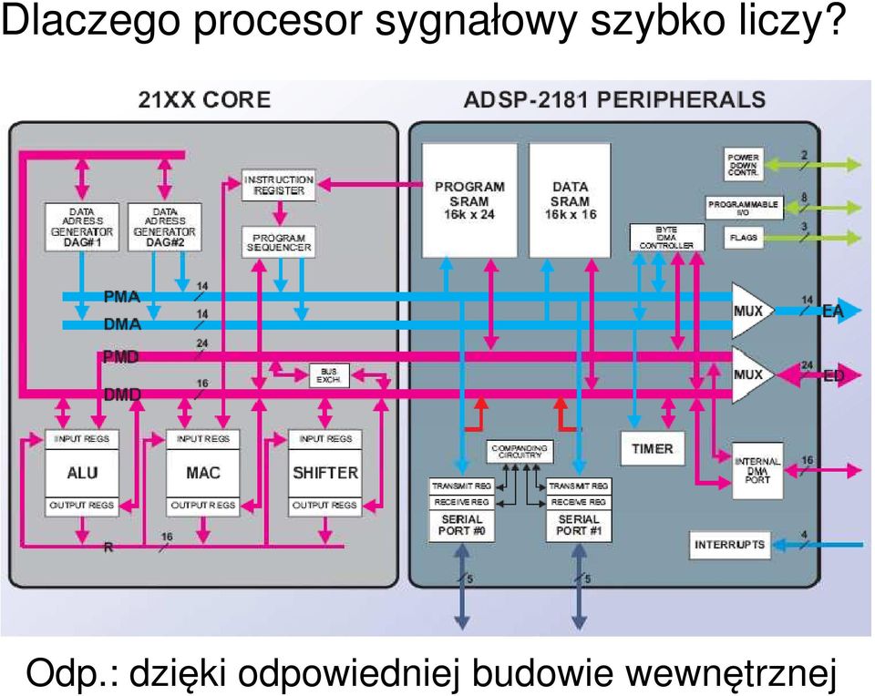 liczy? Odp.
