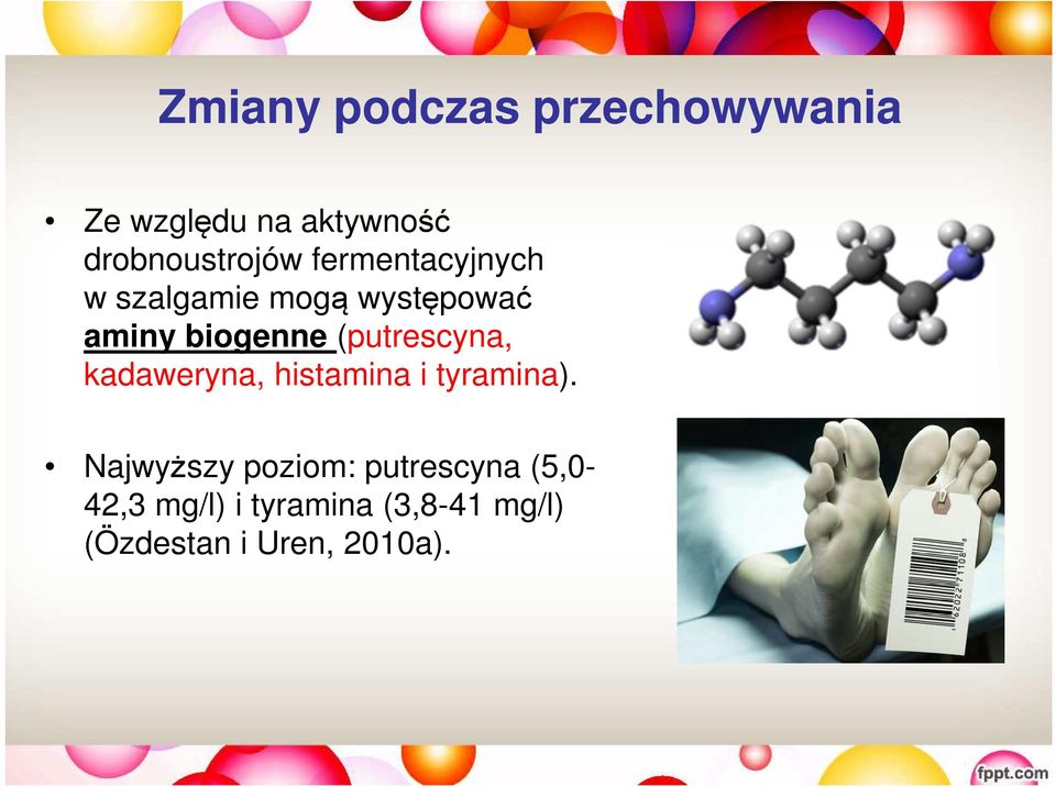 biogenne (putrescyna, kadaweryna, histamina i tyramina).