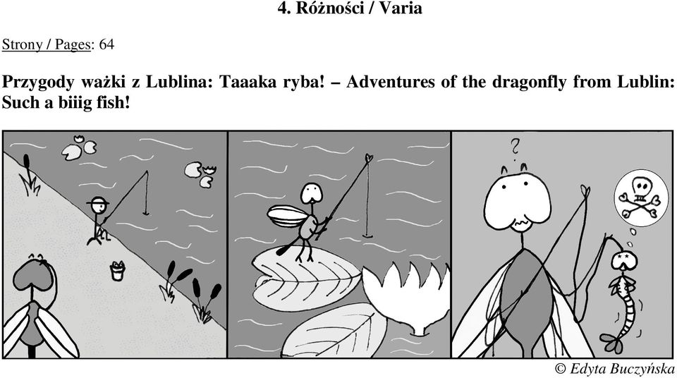 Adventures of the dragonfly from