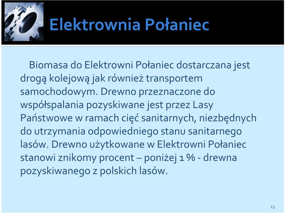 drewno przeznaczone do współspalania pozyskiwane jest przez Lasy Państwowe w ramach cięćsanitarnych,