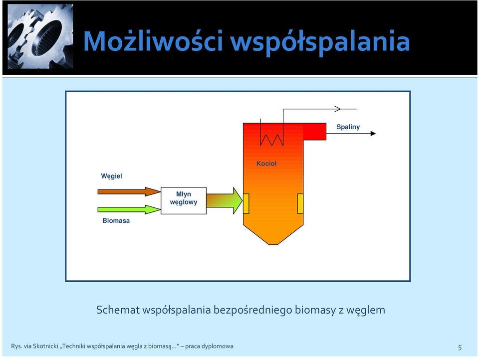 bezpośredniego biomasy z węglem Rys.