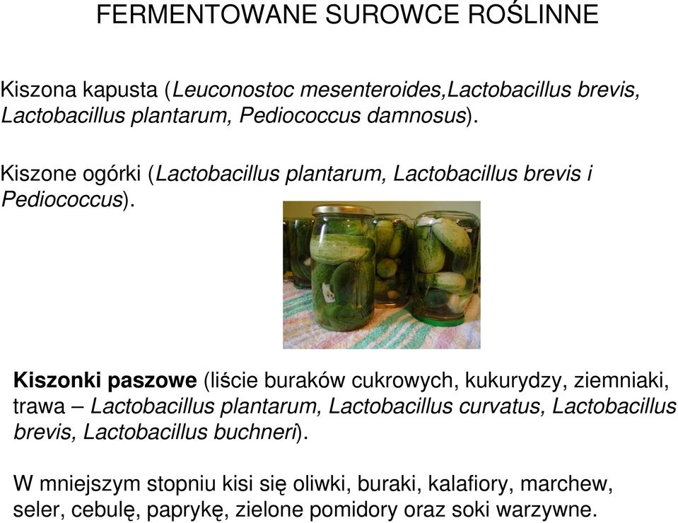 Kiszonki paszowe (liście buraków cukrowych, kukurydzy, ziemniaki, trawa Lactobacillus plantarum, Lactobacillus curvatus,