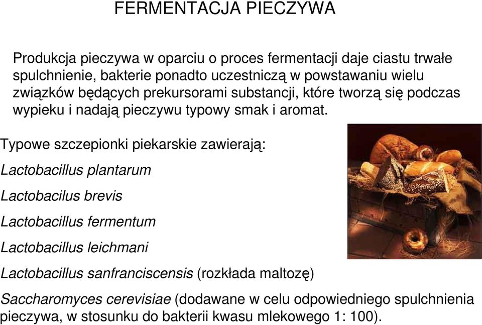 Typowe szczepionki piekarskie zawierają: Lactobacillus plantarum Lactobacilus brevis Lactobacillus fermentum Lactobacillus leichmani
