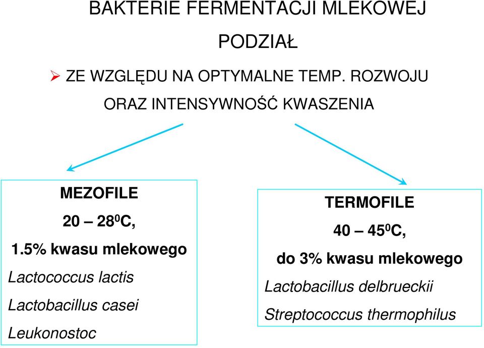 5% kwasu mlekowego Lactococcus lactis Lactobacillus casei Leukonostoc