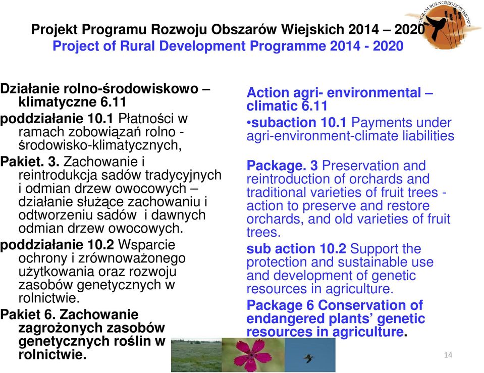 Zachowanie i reintrodukcja sadów tradycyjnych i odmian drzew owocowych działanie służące zachowaniu i odtworzeniu sadów i dawnych odmian drzew owocowych. poddziałanie 10.
