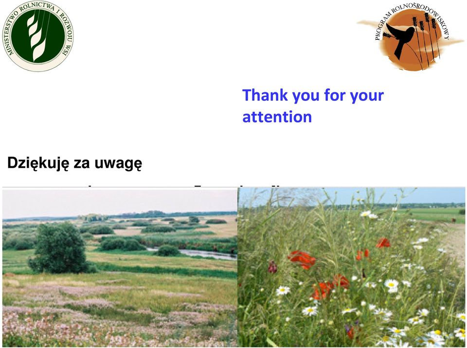 attention
