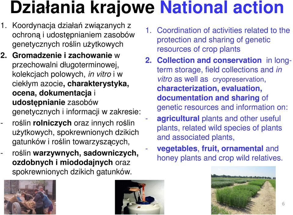 zakresie: - roślin rolniczych oraz innych roślin użytkowych, spokrewnionych dzikich gatunków i roślin towarzyszących, - roślin warzywnych, sadowniczych, ozdobnych i miododajnych oraz spokrewnionych