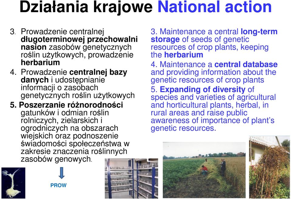 Poszerzanie różnorodności gatunków i odmian roślin rolniczych, zielarskich i ogrodniczych na obszarach wiejskich oraz podnoszenie świadomości społeczeństwa w zakresie znaczenia roślinnych zasobów