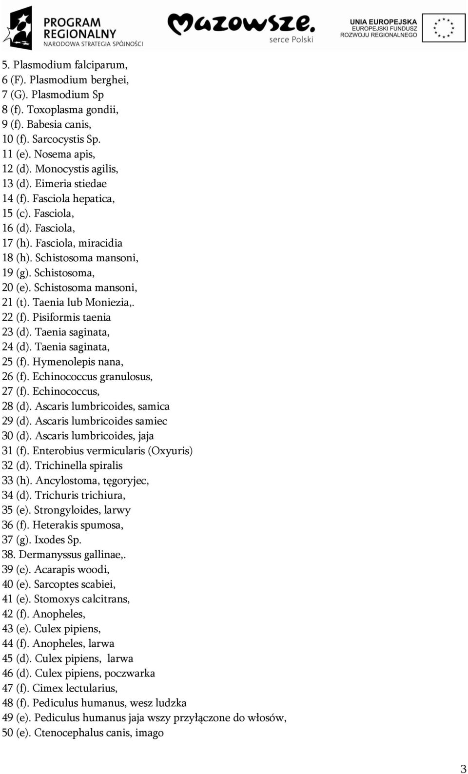 Schistosoma mansoni, 21 (t). Taenia lub Moniezia,. 22 (f). Pisiformis taenia 23 (d). Taenia saginata, 24 (d). Taenia saginata, 25 (f). Hymenolepis nana, 26 (f). Echinococcus granulosus, 27 (f).