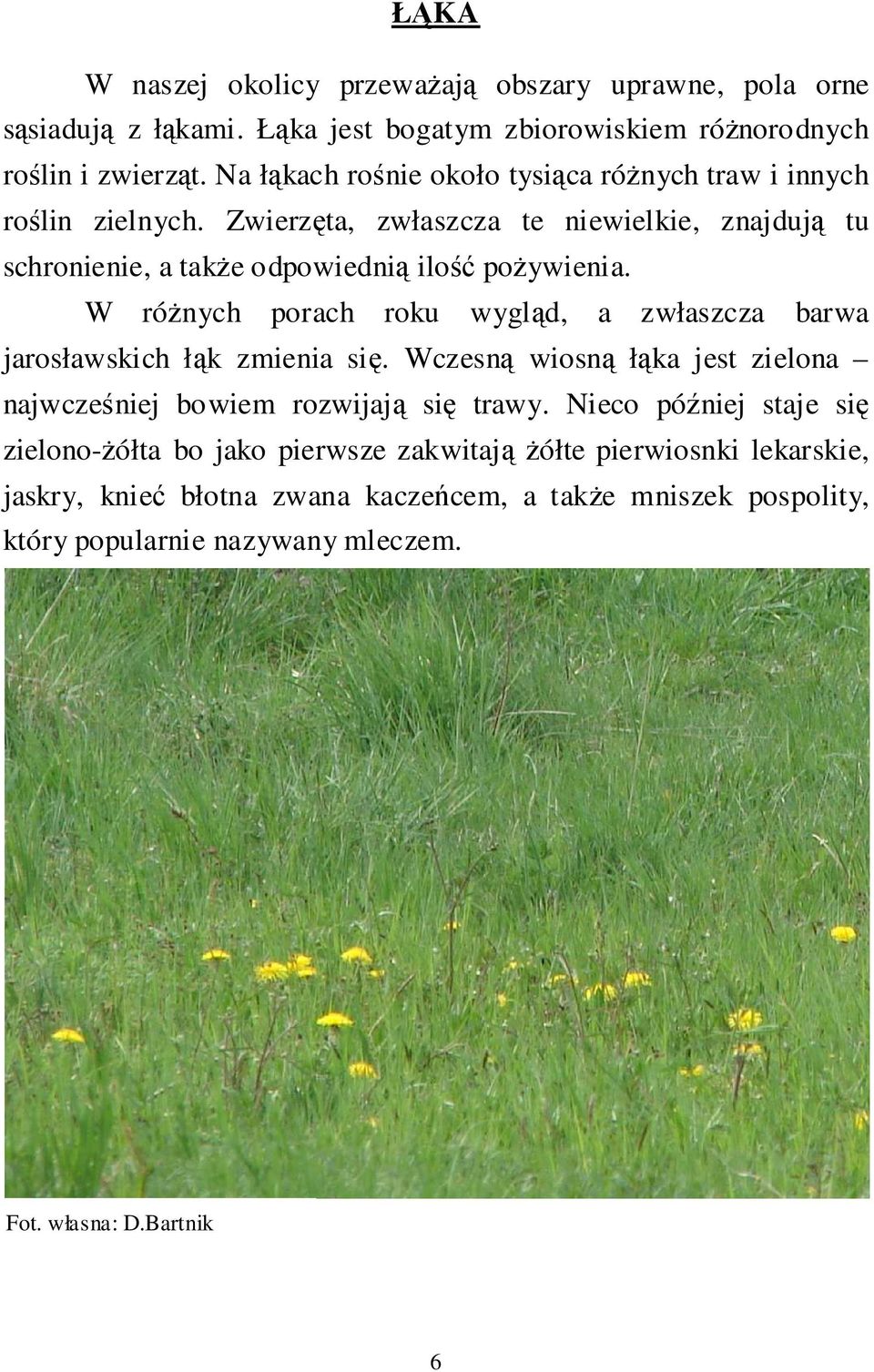 W różnych porach roku wygląd, a zwłaszcza barwa jarosławskich łąk zmienia się. Wczesną wiosną łąka jest zielona najwcześniej bowiem rozwijają się trawy.