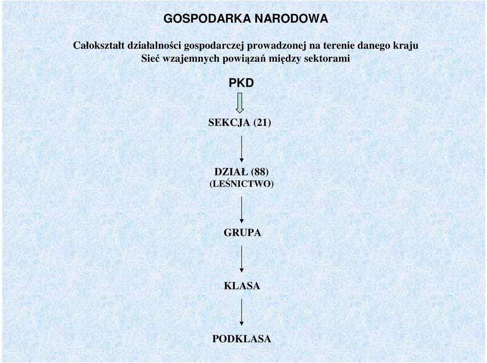 Sieć wzajemnych powiązań między sektorami PKD