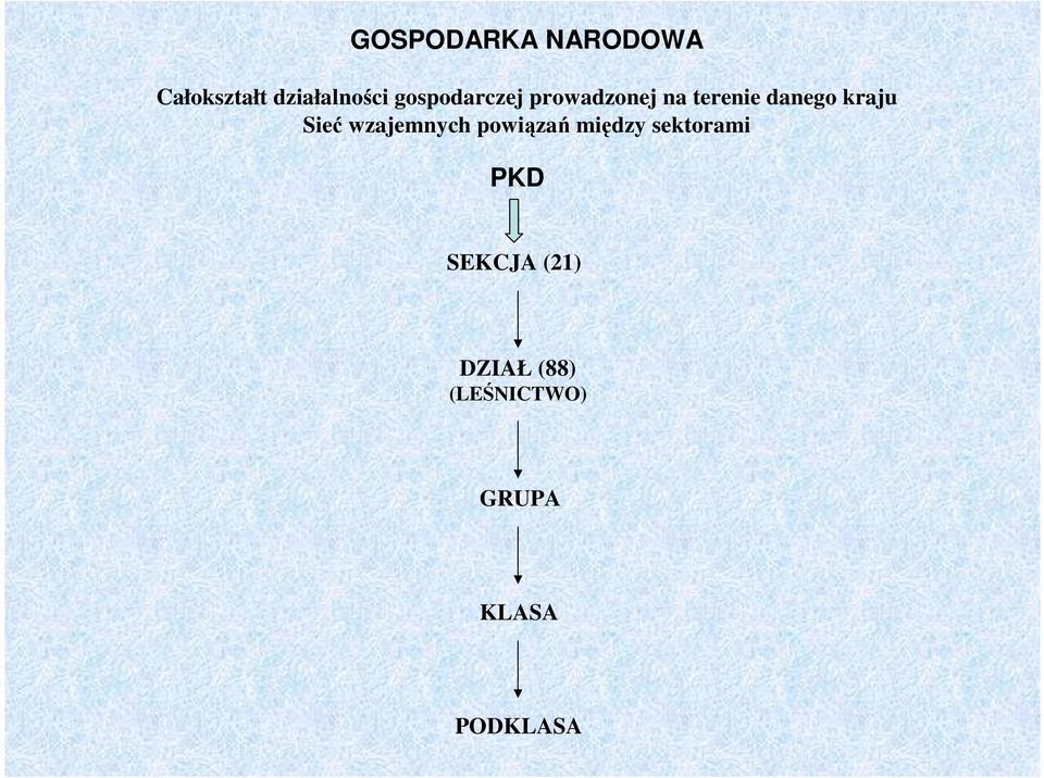 Sieć wzajemnych powiązań między sektorami PKD