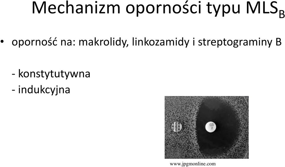 linkozamidy i streptograminy B -