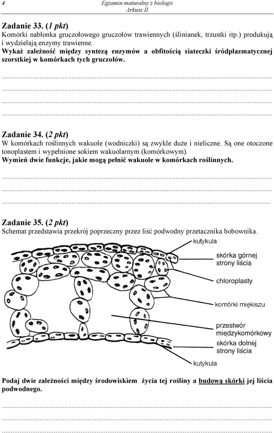 (2 pkt) W komórkach roślinnych wakuole (wodniczki) są zwykle duże i nieliczne. Są one otoczone tonoplastem i wypełnione sokiem wakuolarnym (komórkowym).