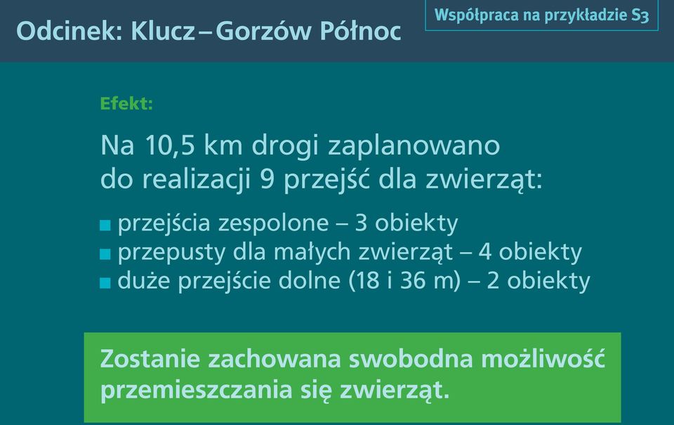 przepusty dla małych zwierząt 4 obiekty duże przejście dolne (18 i 36