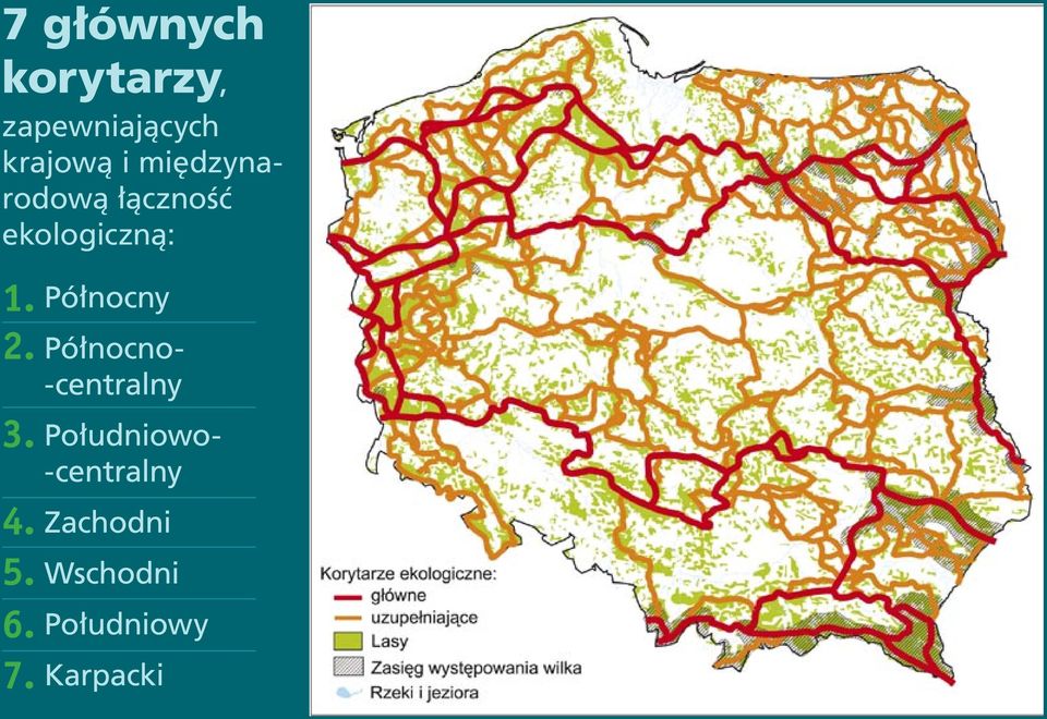 zapewniających