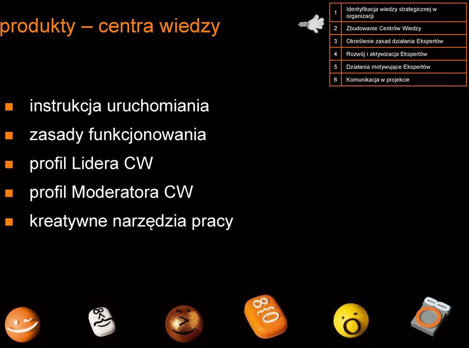 aktywizacja Ekspertów 5 Działania motywujące Ekspertów 6 Komunikacja w projekcie