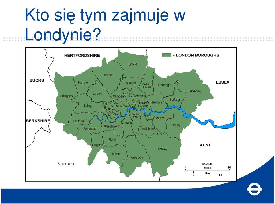 zajmuje w