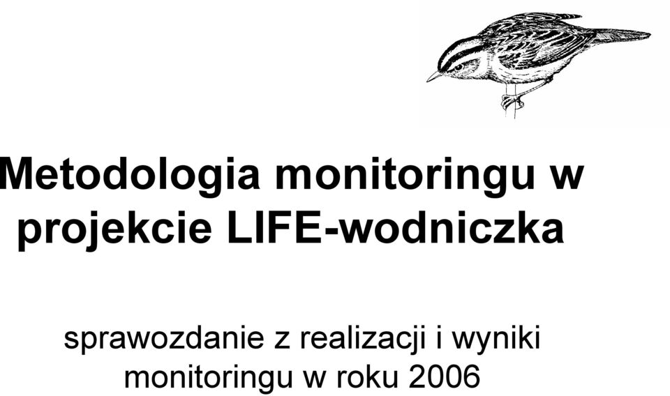 sprawozdanie z realizacji i