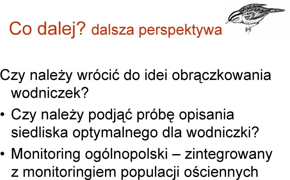 obrączkowania wodniczek?