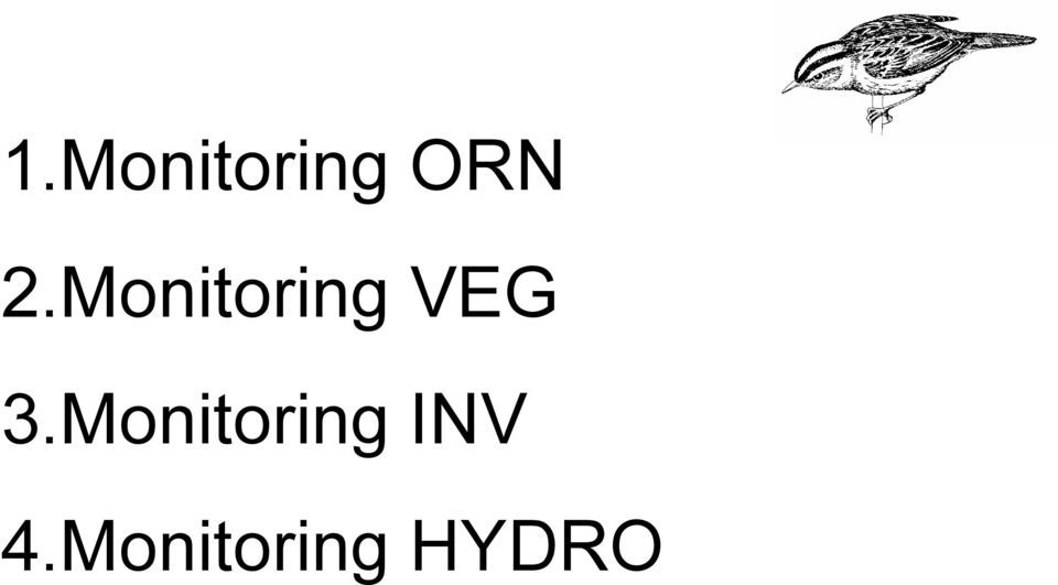 3.Monitoring INV