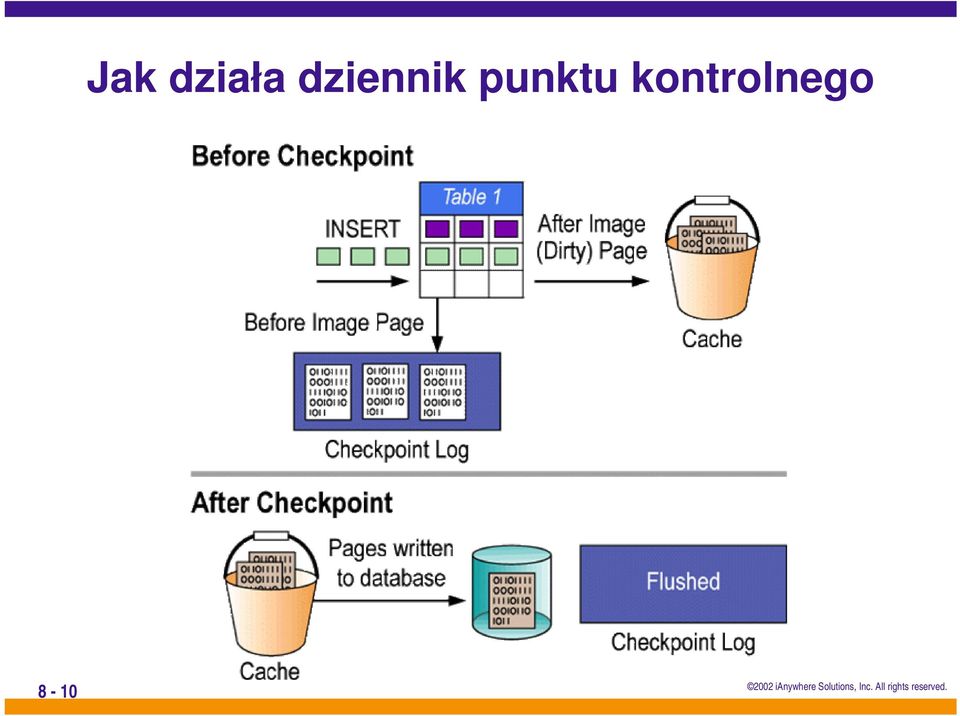punktu