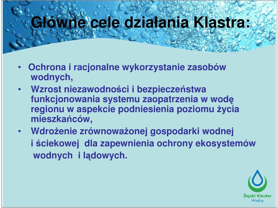 regionu w aspekcie podniesienia poziomu Ŝycia mieszkańców, WdroŜenie zrównowaŝonej