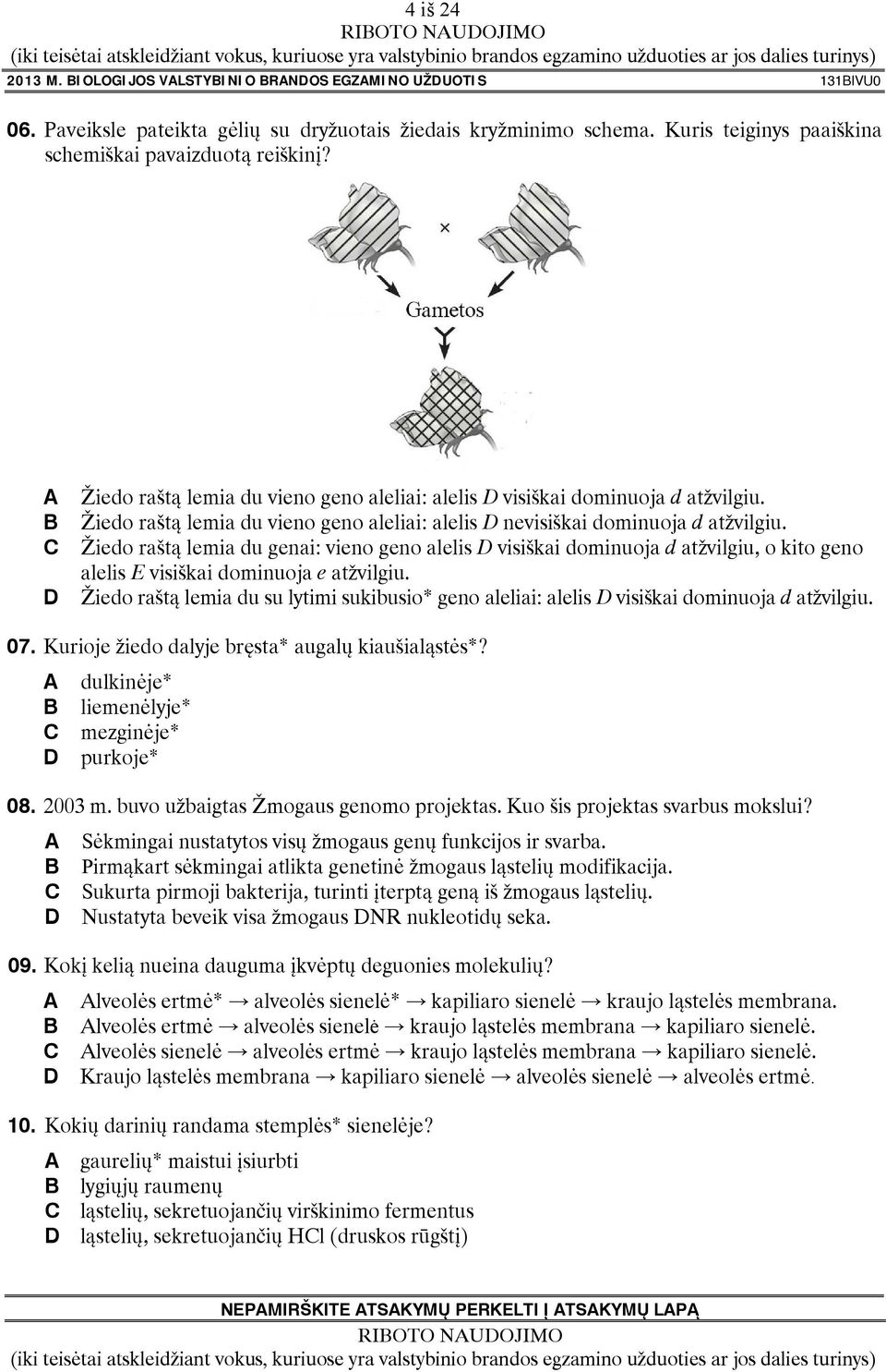 Žiedo raštą lemia du vieno geno aleliai: alelis D nevisiškai dominuoja d atžvilgiu.
