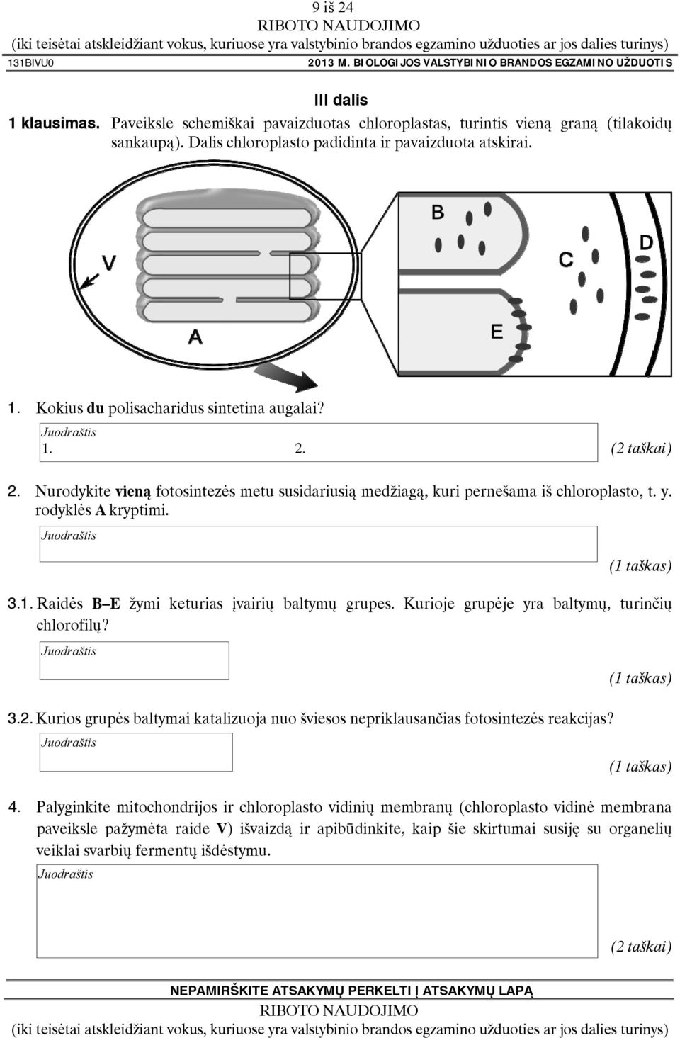 y. rodyklės A kryptimi. 3.1. Raidės B E žymi keturias įvairių baltymų grupes. Kurioje grupėje yra baltymų, turinčių chlorofilų? 3.2.