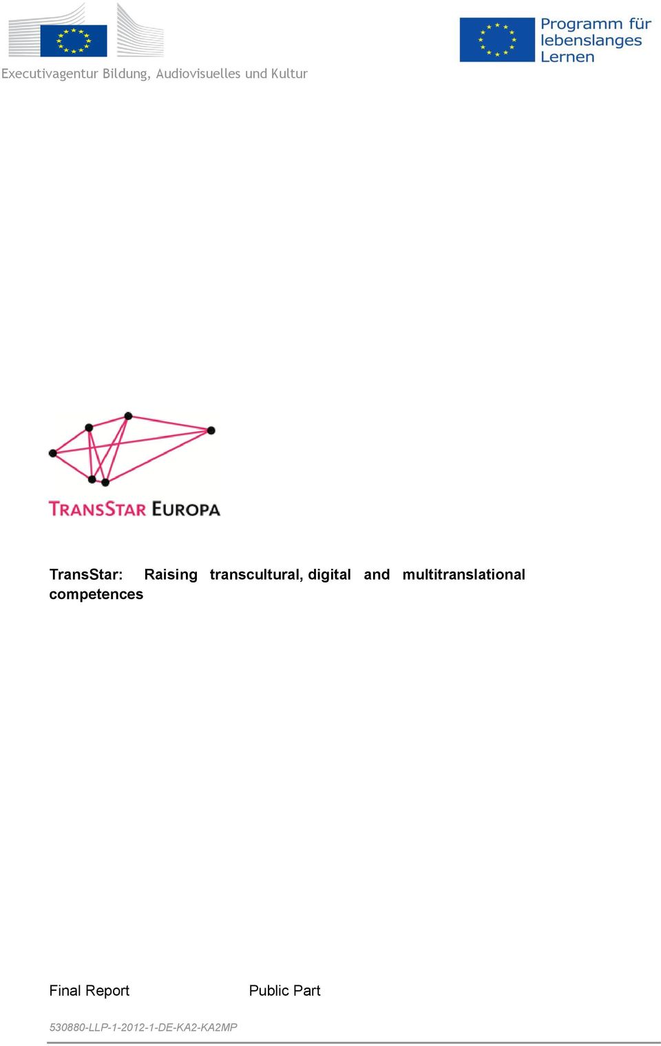 digital and multitranslational competences