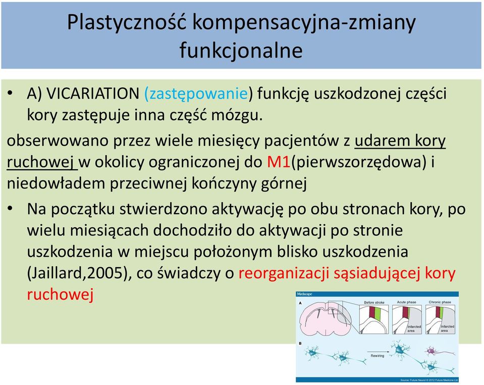 obserwowano przez wiele miesięcy pacjentów z udarem kory ruchowej w okolicy ograniczonej do M1(pierwszorzędowa) i niedowładem