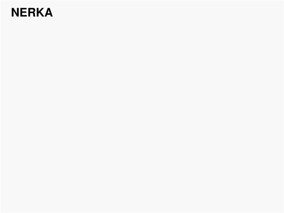 gęstej kanalika krętego II rzędu (osmochemoreceptor) odbierają zmiany ciśnienia osmotycznego moczu Komórki siatki