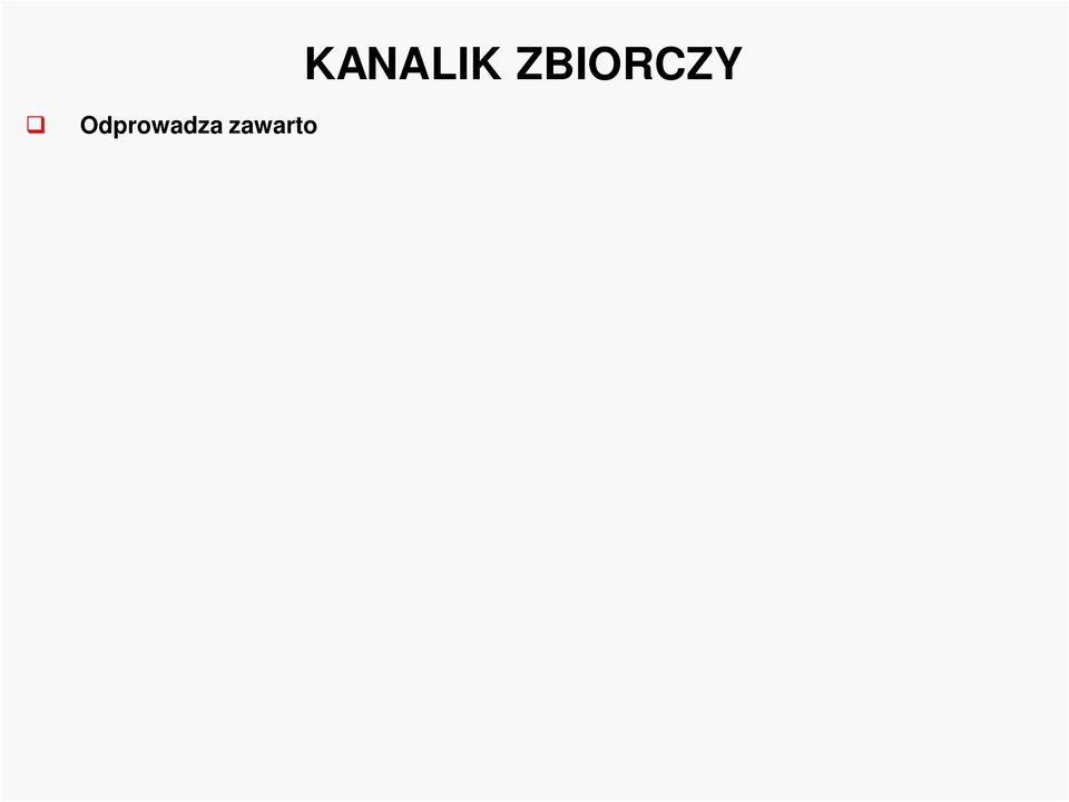 z rąbkiem oskórkowym w korowej części nerki sześcienne komórki jasne (główne) i pojedyncze ciemne (wstawkowe) - im niżej mniej komórek