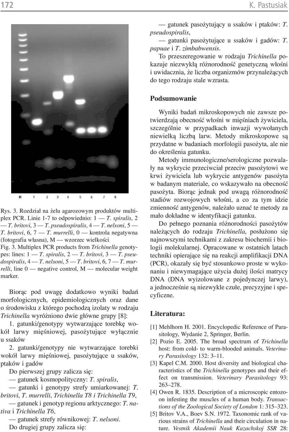 Rozdział na żelu agarozowym produktów multi plex PCR. Linie 1 7 to odpowiednio: 1 T. spiralis, 2 T. britovi, 3 T. pseudospiralis, 4 T. nelsoni, 5 T. britovi, 6, 7 T.